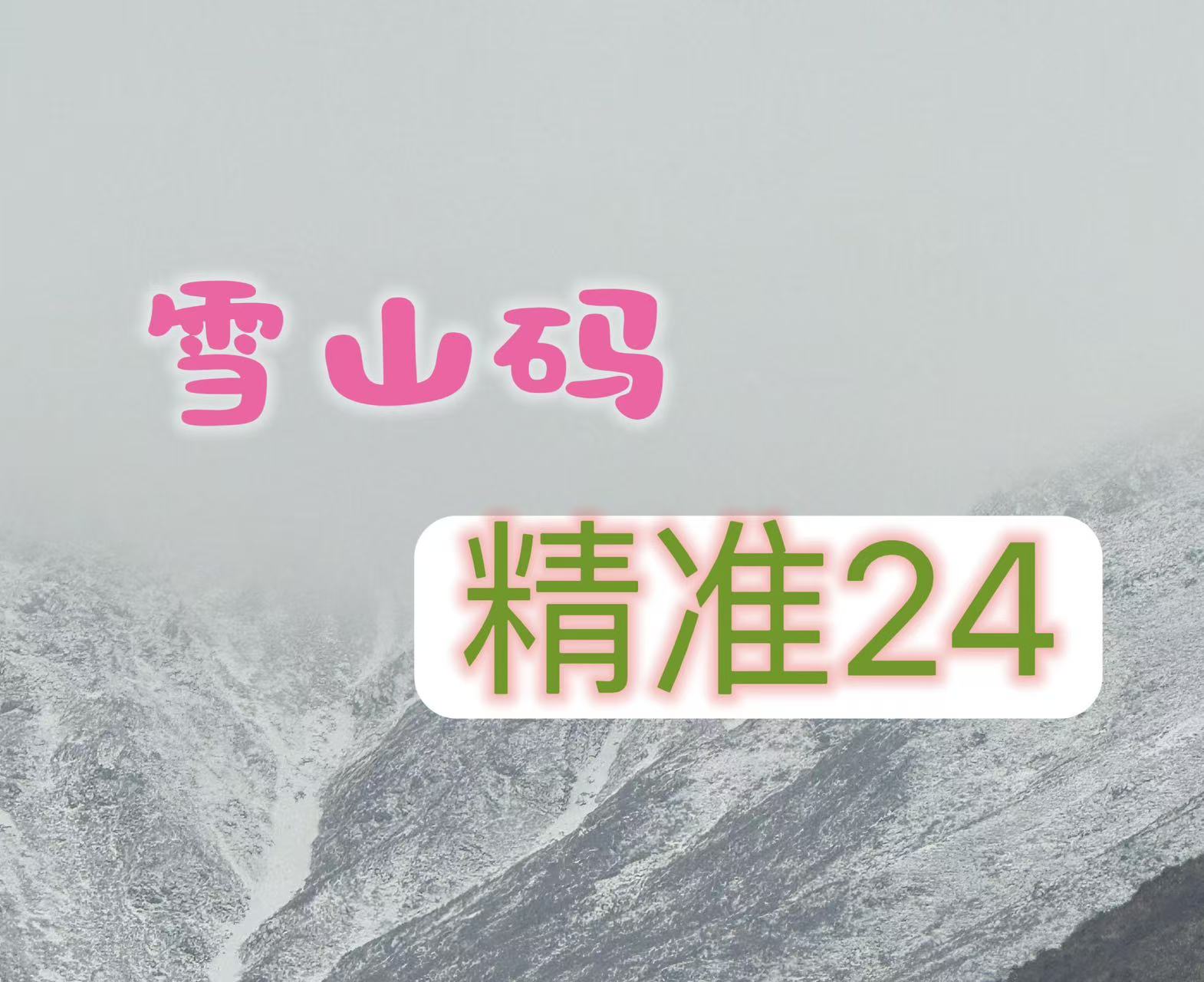 065期雪山精选24码-资源分享